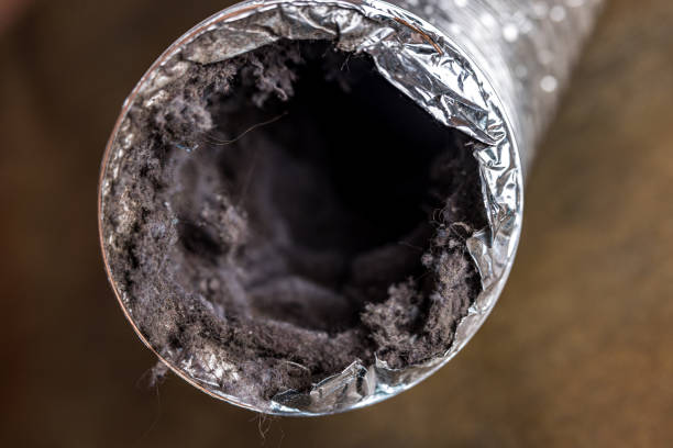 Best HVAC Duct Inspection Services  in Bonifay, FL